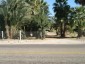 10+ Acres of Vacant Land