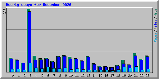 Hourly usage for December 2020