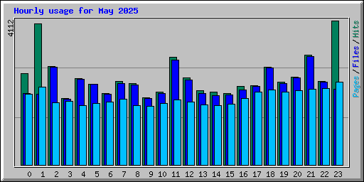 Hourly usage for May 2025