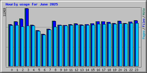 Hourly usage for June 2025