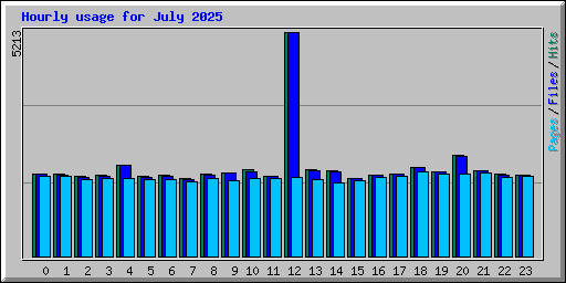 Hourly usage for July 2025