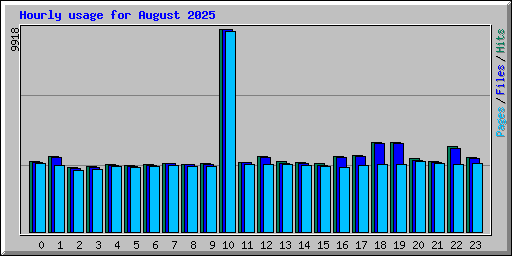 Hourly usage for August 2025