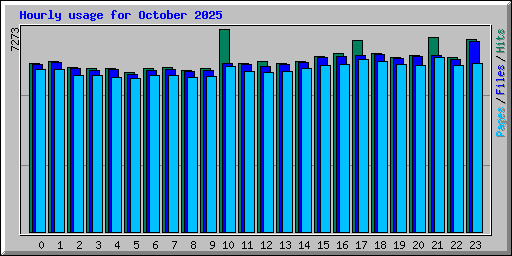Hourly usage for October 2025