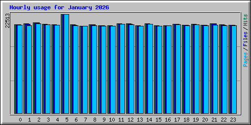 Hourly usage for January 2026