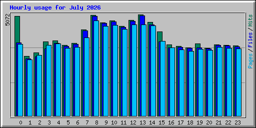 Hourly usage for July 2026