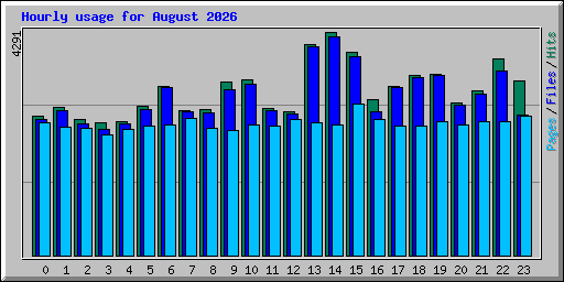 Hourly usage for August 2026